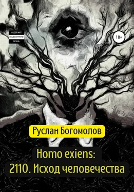 Руслан Богомолов Homo exiens: 2110. Исход человечества обложка книги