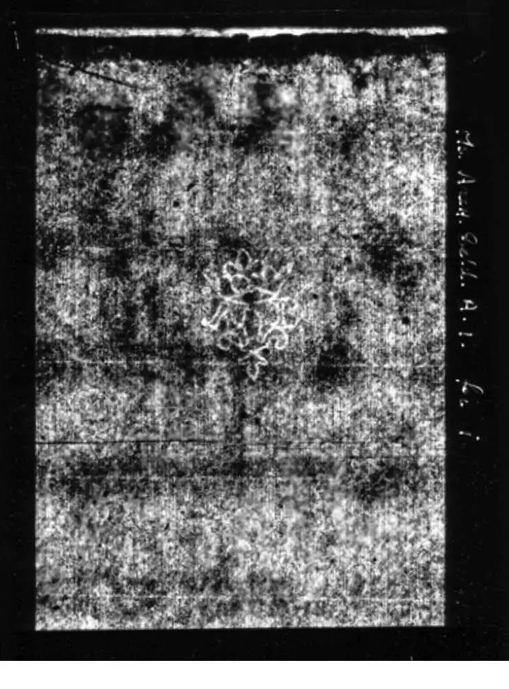 La contraguarda frontal con la firma de Thevet probablemente es del mismo - фото 19