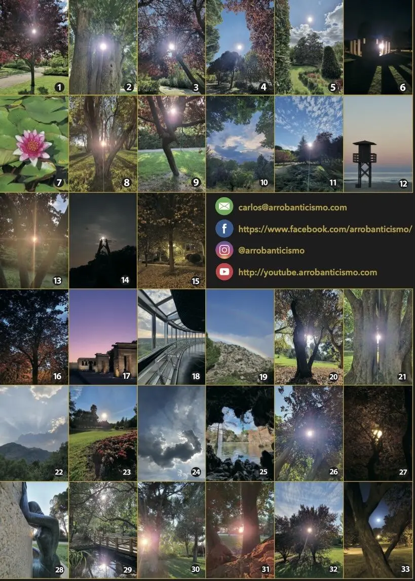 Capítulo 1 Rendirte a tu ser Qué se puede esperar del universo después de - фото 3