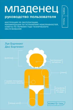 Луис Боргенихт Младенец. Руководство пользователя: Инструкция по эксплуатации, рекомендации по устранению неисправностей, советы по первому году технического обслуживания обложка книги