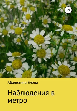 Елена Абалихина Наблюдения в метро обложка книги