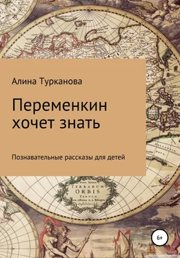 Алина Турканова Переменкин хочет знать обложка книги