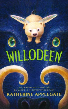 Katherine Applegate Willodeen обложка книги