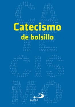 Juan Antonio Carrera Catecismo de bolsillo обложка книги