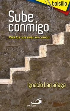 Ignacio Larrañaga Orbegozo Sube conmigo обложка книги
