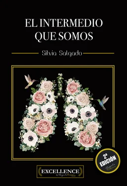 Silvia Salgado Sevillano El intermedio que somos обложка книги