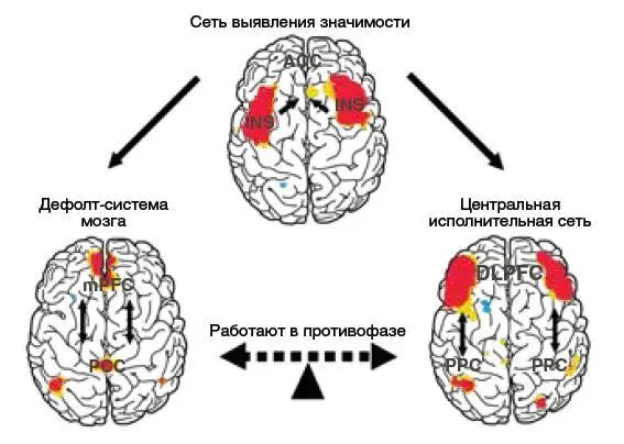 Рис 2 Схематичное изображение отношений сети выявления значимости salience - фото 2
