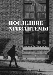 Анатолий Шамов - Последние хризантемы. Любовная и философская лирика