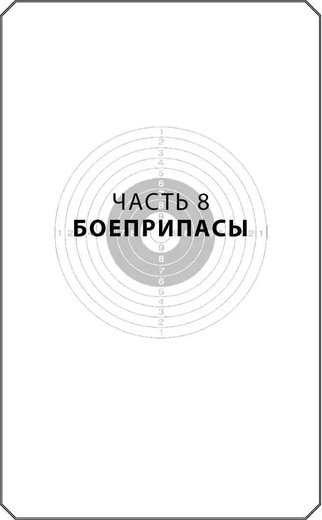 Часть 8 Боеприпасы В этой части книги мы поговорим о боеприпасах - фото 306