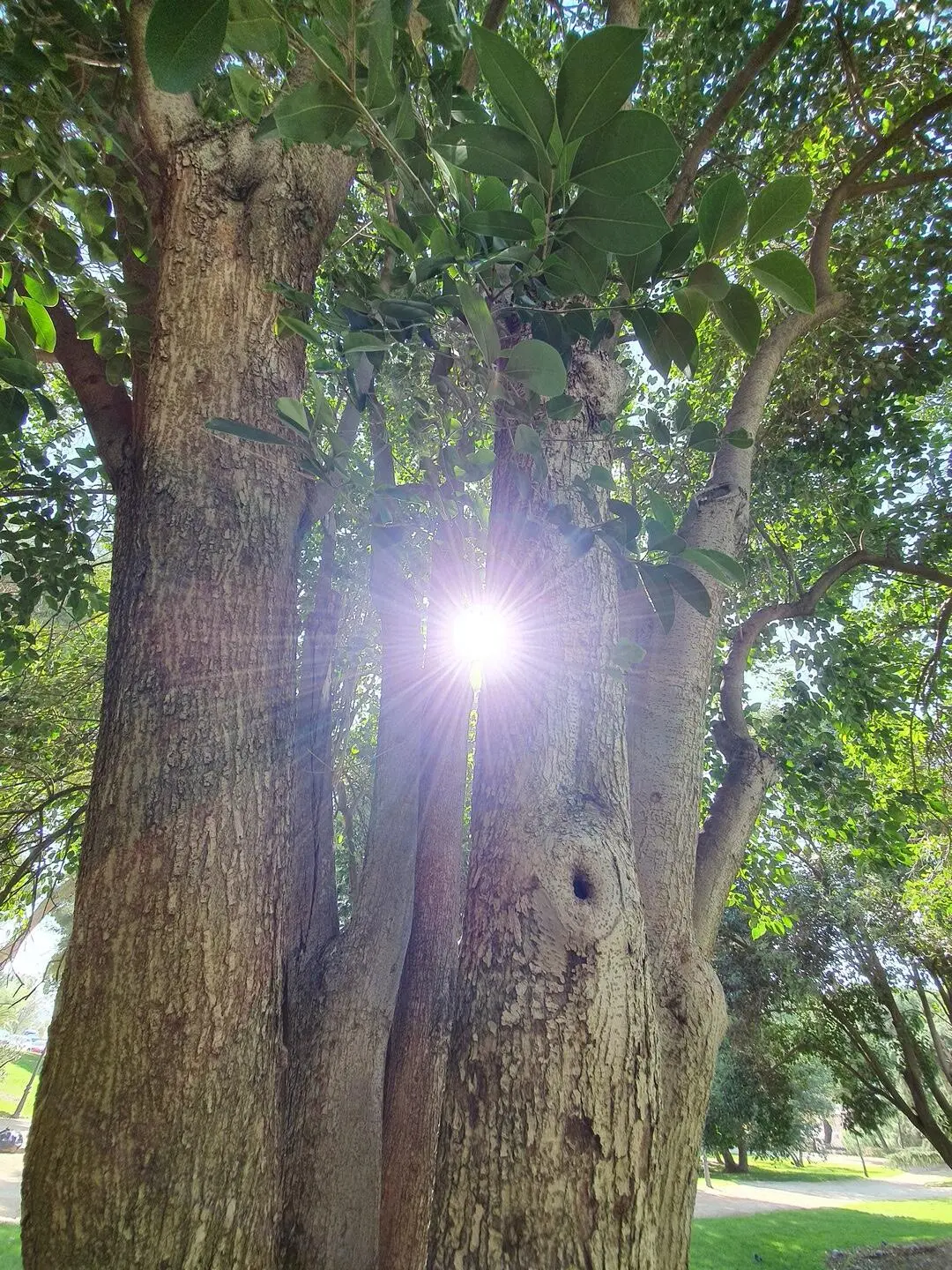 When you live incarnated you can experience every emotion from the deepest - фото 9