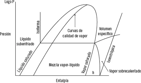 B 6 Enumere las fases de la estructura básica de un informe 7 Indique - фото 123