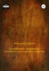 Александр Забусов - Коэффициент выживания, или Каникулы настоящих мужчин