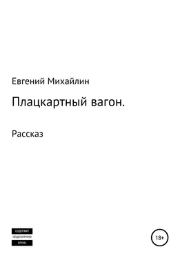 Евгений Михайлин Плацкартный вагон обложка книги