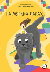 Анна Кибальникова - На мягких лапах