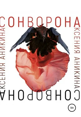 Ксения Аникина Сон Ворона обложка книги