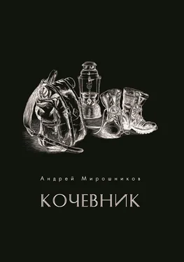 Андрей Мирошников Кочевник обложка книги