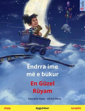 Cornelia Haas Ëndrra ime më e bukur – En Güzel Rüyam (shqip – turqisht) обложка книги