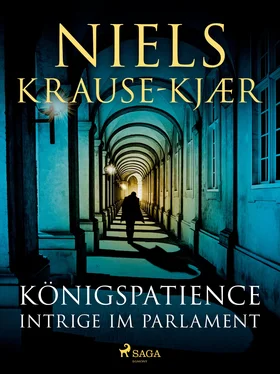 Niels Krause-Kjær Königspatience - Intrige im Parlament обложка книги