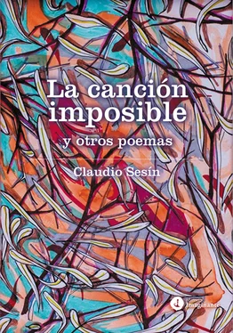 Claudio Sesín La canción imposible обложка книги