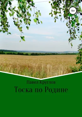 Павел Круглов Тоска по Родине обложка книги