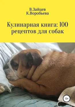 Карина Третьякова Кулинарная книга: 100 рецептов для собак обложка книги