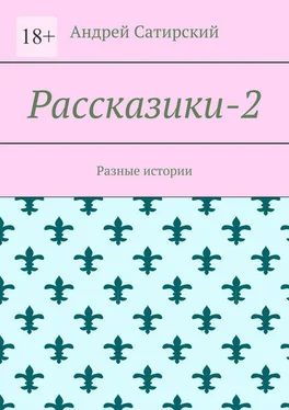 Андрей Сатирский Рассказики-2. Разные истории обложка книги