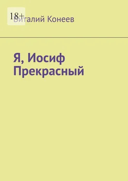 Виталий Конеев Я, Иосиф Прекрасный обложка книги