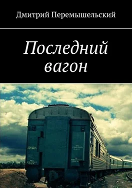 Дмитрий Перемышельский Последний вагон обложка книги