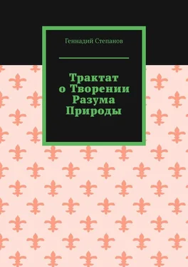 Геннадий Степанов Трактат о творении разума природы обложка книги