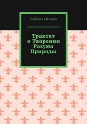 Геннадий Степанов - Трактат о творении разума природы