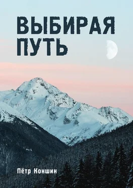 Пётр Коншин Выбирая путь обложка книги