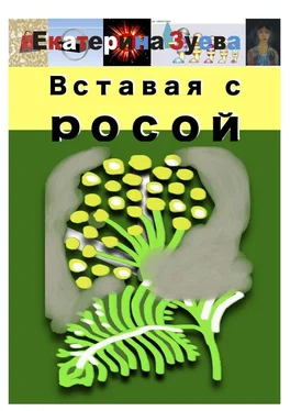 Екатерина Зуева Вставая с росой обложка книги