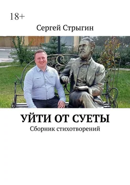 Сергей Стрыгин Уйти от суеты. Сборник стихотворений обложка книги