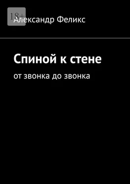 Александр Феликс Спиной к стене. От звонка до звонка обложка книги