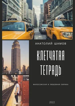 Анатолий Шамов Клетчатая тетрадь. Философская и любовная лирика обложка книги