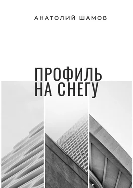 Анатолий Шамов Профиль на снегу. Философская и любовная лирика обложка книги