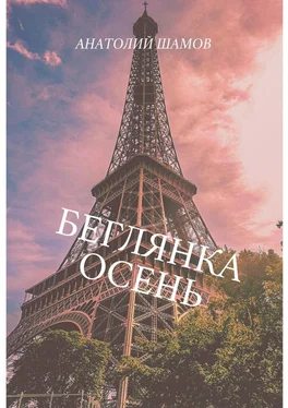 Анатолий Шамов Беглянка осень. Философская и любовная лирика обложка книги