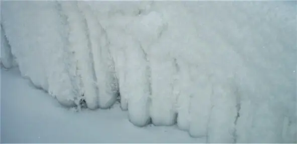 6 Белоснежный ковёр Застилает снег газоны Покрывалами с утра Оттеняет - фото 3
