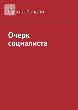 Никита Лопатин Очерк социалиста обложка книги