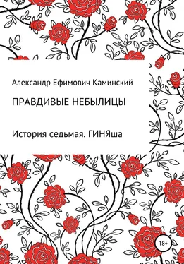 Александр Каминский Правдивые небылицы. История седьмая. ГИНЯша обложка книги