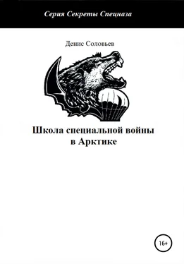 Денис Соловьев Школа специальной войны в Арктике обложка книги