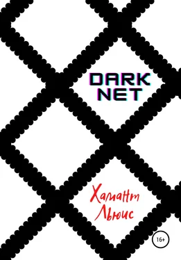 Хамант Льюис DarkNet обложка книги