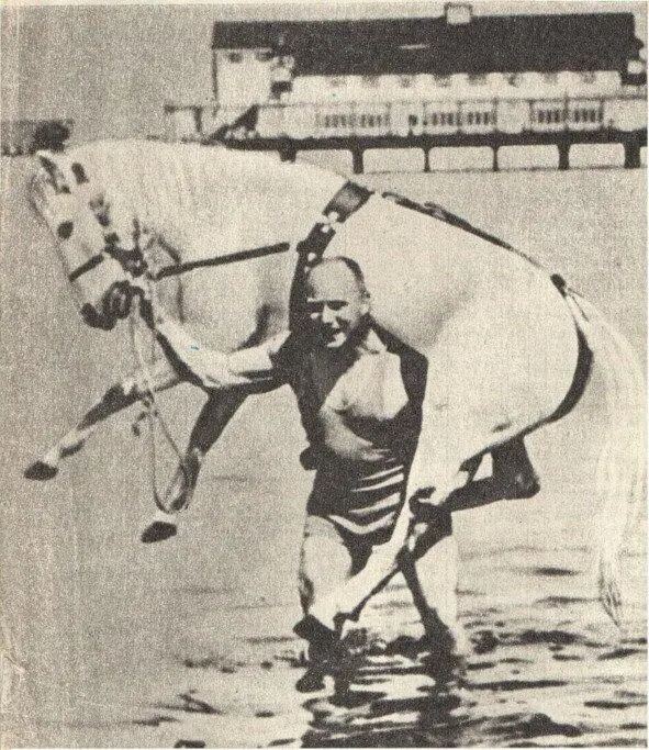 На Александре Зассе ездила лошадь Но больше всего его привлекали силовые - фото 2