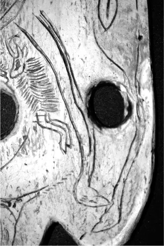 Dibujos prehistóricos relacionados con las creencias mágicas de aquellos - фото 4