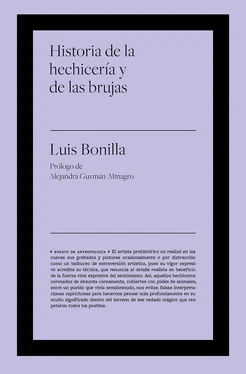 Luis Bonilla García Historia de la hechicería y de las brujas обложка книги