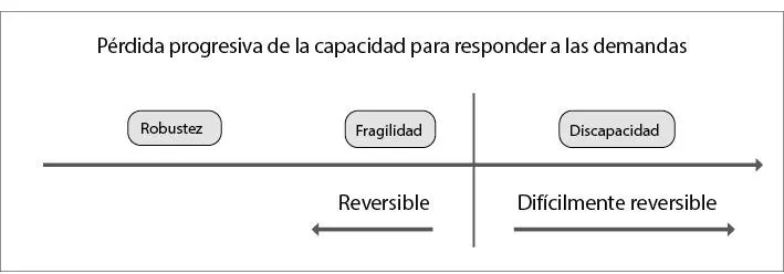 La situación funcional no solo se convierte así en un factor a considerar en - фото 16