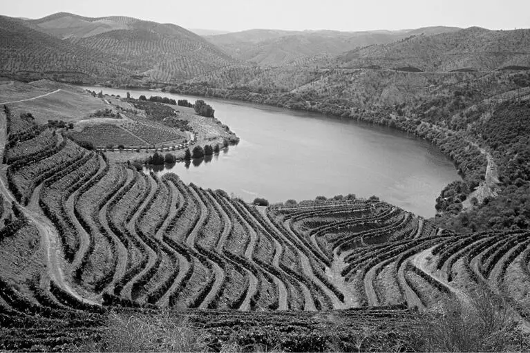 Figura 3 Región vinícola del Alto Duero ADV A pesar de ser un plan - фото 9