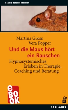 Martina Gross Und die Maus hört ein Rauschen обложка книги