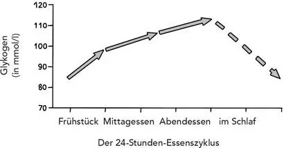 Abbildung 25b Steigerung der Menge von Muskelglykogen im Laufe eines Tages - фото 14