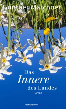 Günther Marchner Das Innere des Landes обложка книги
